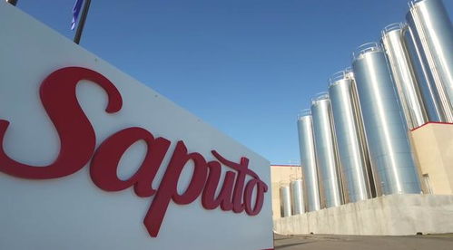 黃浦日記 進(jìn)口貿(mào)易便利化加速,這款牛奶 漂洋過(guò)海 到上海