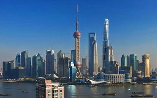 上海服務(wù)外包中心力推“中國服務(wù)”走向世界，引領(lǐng)貿(mào)易新篇章